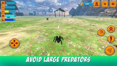 Poisonous Tarantula Spider Simulator Image