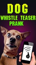 Dog Whistle Teaser Prank Image