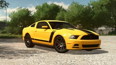 2013-14 Ford Mustang (IC & Passenger) Image