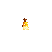 Animation FX FIRE Image