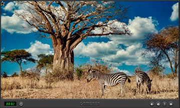 Animals Of Africa Image