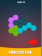 BlockHexa Puzzle Mania Image