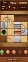 Move the Ball : Slide Puzzle Image
