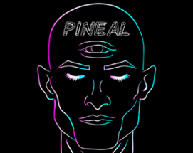 Pineal Image