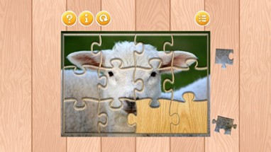 Animal Jigsaw Puzzle For kids and Adults Image