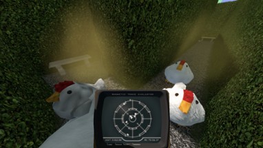 Chasing Chickens Image