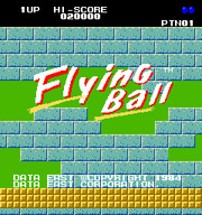 Flying Ball Image