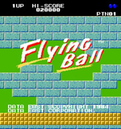 Flying Ball Game Cover