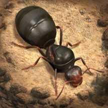 The Ants: Underground Kingdom Image