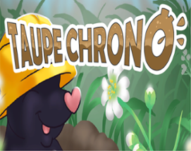 Taupe Chrono - Promotion 2020 Image