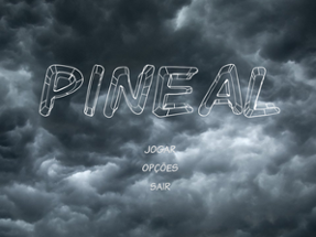 Pineal Image