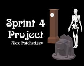 Sprint 4 Project Image