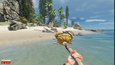 Stranded Deep Image