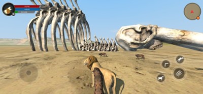 Wild Lion Survival Simulator Image