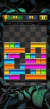 Drop Block Puzzle Image