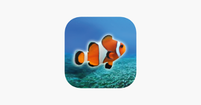 Clownfish Tap Image