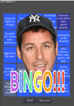 Adam Sandler Bingo Image