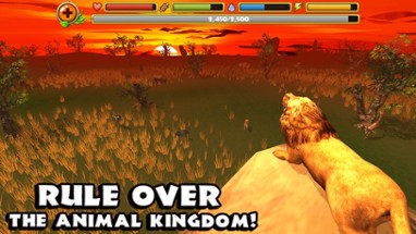 Safari Simulator: Lion Image