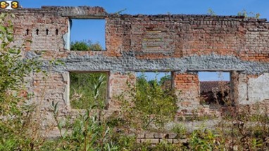 Abandoned Building Monkey Escape Image