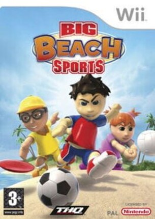 Big Beach Sports Game Cover