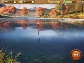 Fishing World Image