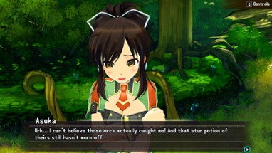 SENRAN KAGURA Reflexions Image