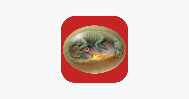 DinoEgg - Dino Egg Game Cover