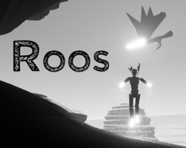 ROOS Image