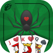 Spider Solitaire - card game Image