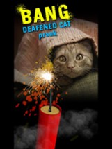 Bang Deafened Cat Prank Image