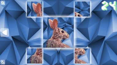 Poly Puzzle: Animals Image