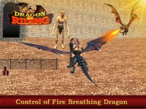 Dragon Rider : Play the game to win dragon throne Image