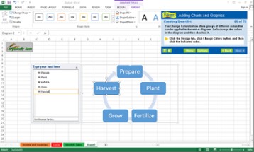 Professor Teaches® Excel 2013 & 365 Image