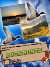 Duck Hunting Pro Challenge-Bird Shooting Game 3D Image