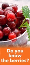 Fruits, Vegetables &amp; Berries Image
