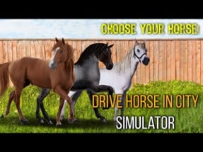 Drive Horse In City Simulator Image