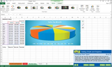 Professor Teaches® Excel 2013 & 365 Image