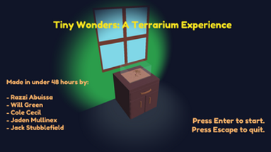 Tiny Wonders: A Terrarium Experience Image