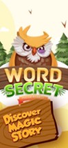 WORD SECRET: OWL RESCUE GAME Image