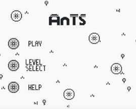 Ants Image