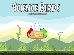 Science Birds Image