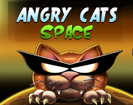 Angry Cats Space Image