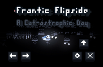 Frantic Flipside Image