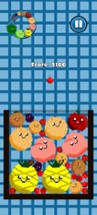 Fruit Game Image