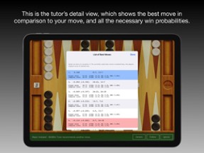 True Backgammon Image