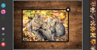 Cat's Life Jigsaw Puzzles Image