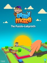 Crazy Maze -  Puzzle Action Image