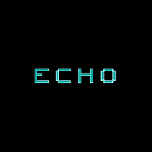 Echo Image