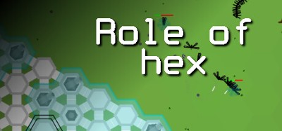 Role of Hex Image