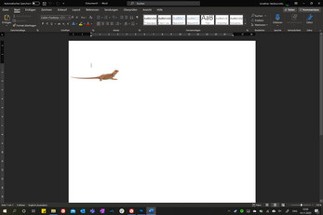 Bearded Dragon Desktop Pet Lizard Image